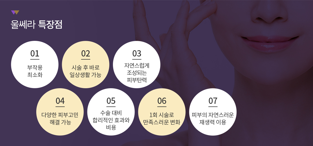 울쎄라 특장점